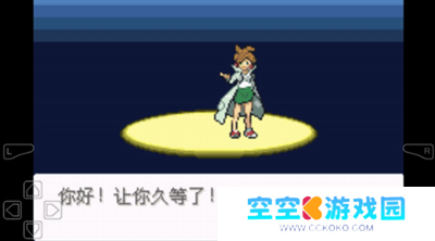 口袋妖怪永恒之沫