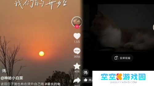 一条小团团在某音发布视频，称正在提升自己，暂不打算重新开直播