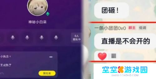 一条小团团在某音发布视频，称正在提升自己，暂不打算重新开直播