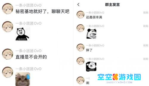 一条小团团现身YY开播，调侃自己“8年缝纫机”，称现在自己看开了