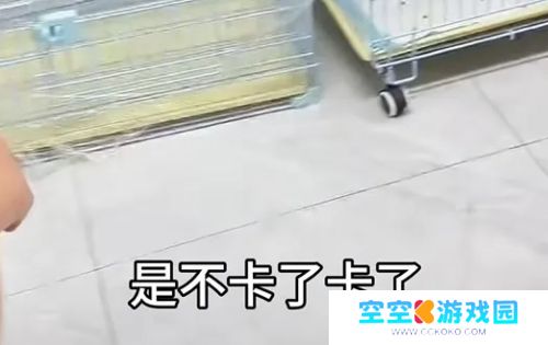 网红狗“艾特”直播洗澡遭意外，千万粉博主遭骂，更有明星发声指责