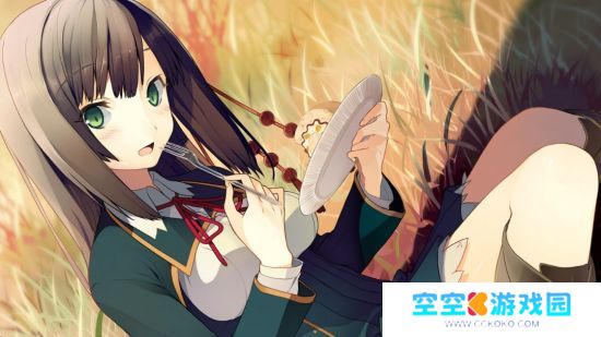 雪碧社作品《恋爱与选举与巧克力》Steam页面上线 年内发售