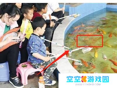 初中生玩手机上瘾,家长怎么办? 家长如何帮助初中生摆脱手机上瘾