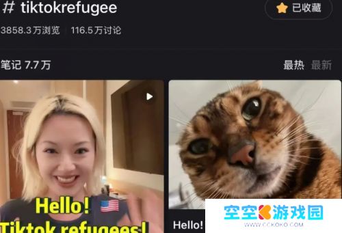 TikTok遇难，小红书却爆火，大量美国网友涌入，登顶美国下载榜第一