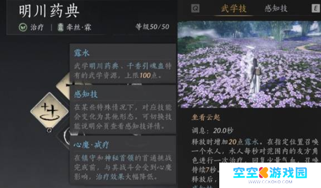 燕云十六声奶妈套装搭配攻略