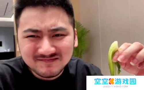 昔日电竞一哥风头不再，直播人气惨淡，不赚钱反倒贴，打算停播退网了