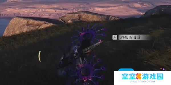 燕云十六声临江驿蹊跷收集攻略