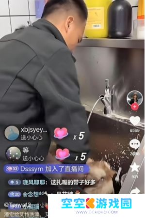 训狗一哥潘宏又出事，要求主人签“天价合同”，网友：这波站潘宏