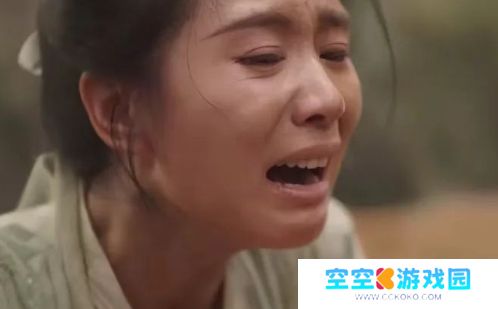 《掌心》采莲身死，霓裳退出，叶平安被埋，复仇小分队遭散伙危机