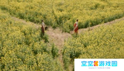 《掌心》采莲身死，霓裳退出，叶平安被埋，复仇小分队遭散伙危机