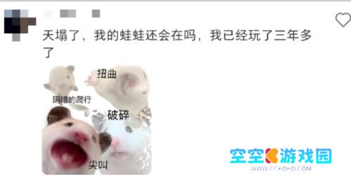 曾经爆火的《旅行青蛙》，渠道服纷纷关停，如今团队只剩5人不到