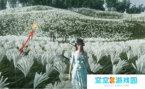 燕云十六声宝箱探索显示方法