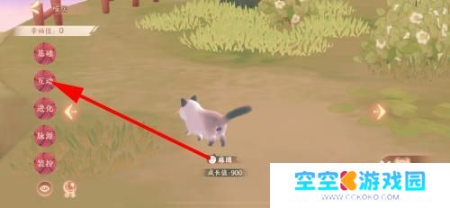 忘川风华录怎么和猫聊天 忘川风华录喵咪互动玩法