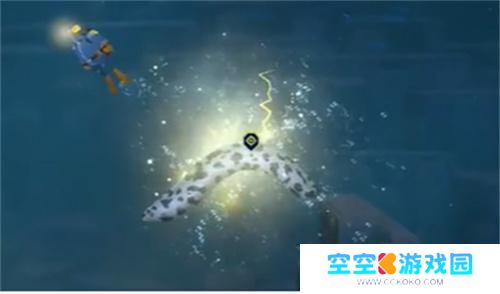 潜水员戴夫斑点海鳗怎么获得