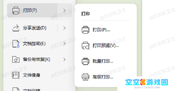 调整软件打印设置