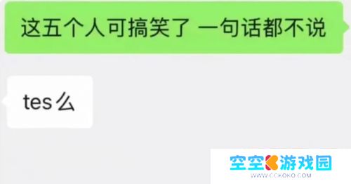 TES七连败遭淘汰，被曝队内气氛压抑，失败早已注定，后续复出无望