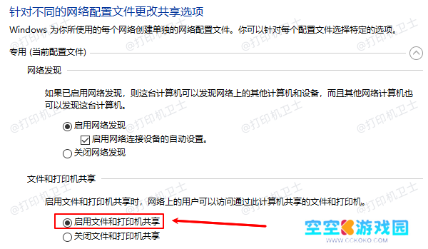 启用文件和打印机共享