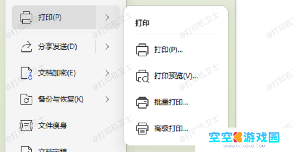预览打印文件