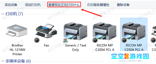 查看现在正在打印什么