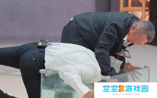 《无限超越班3》收官!58份offer重塑综艺天花板