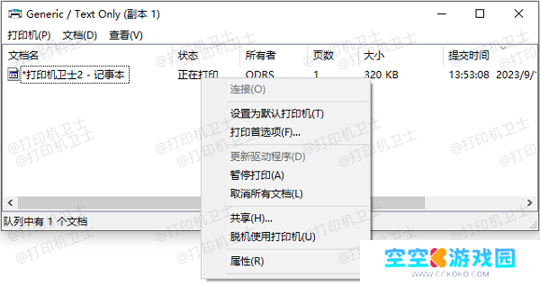 确认打印机状态