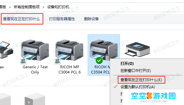 查看现在正在打印什么