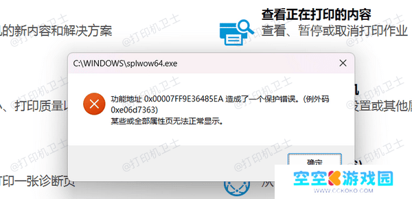 什么是“功能地址0x造成了一个保护错误”？